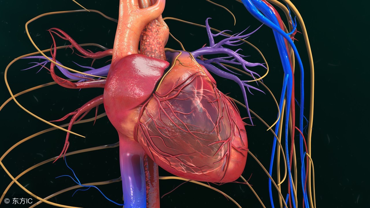 老年人心肌缺血服用什么中成药,老年人心肌缺血会有什么症状表现