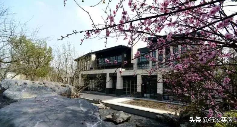 与别墅区为邻的洋房,与土豪别墅为邻