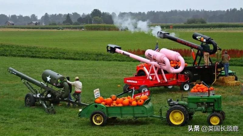 南瓜大作战攻略,南瓜大作战有几个地点