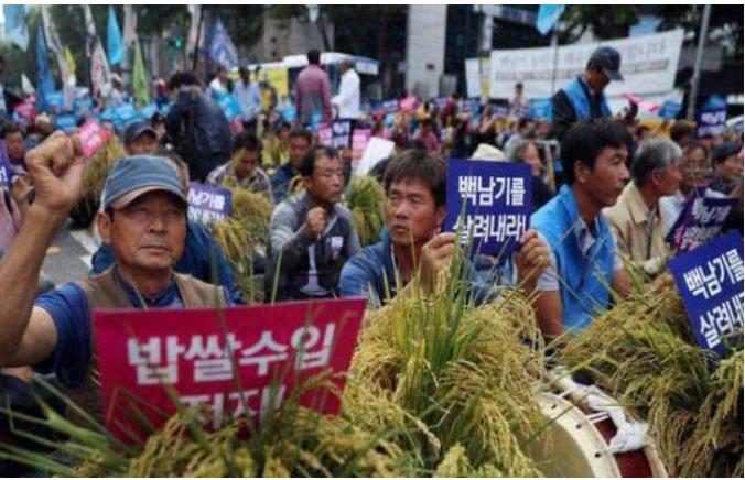 韩国的“钻石白菜价”令人望而却步，多重因素下的农业危机