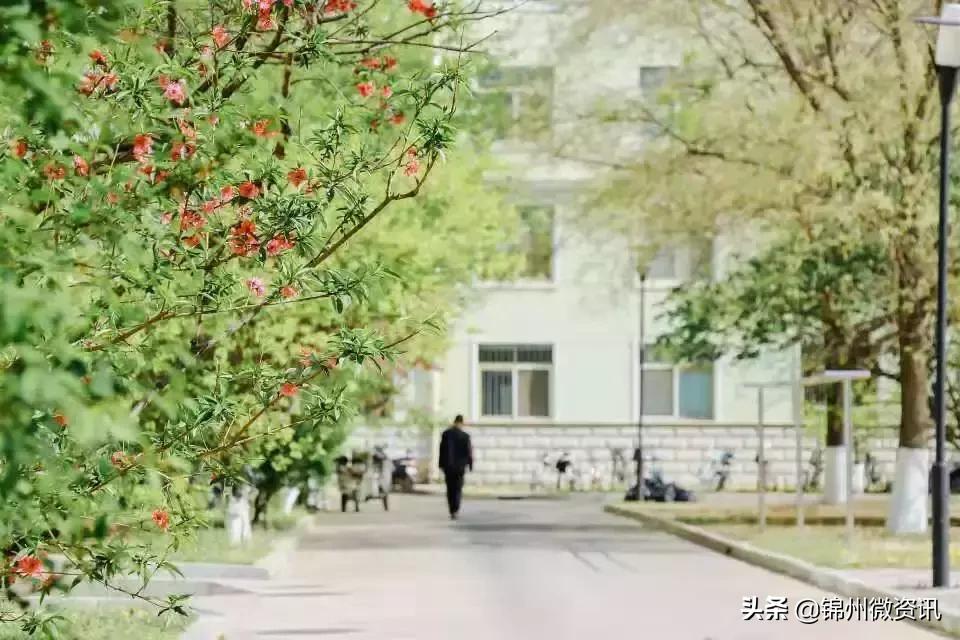 锦州渤海大学！全国最美大学之一！新入学的同学想知道的都在这里