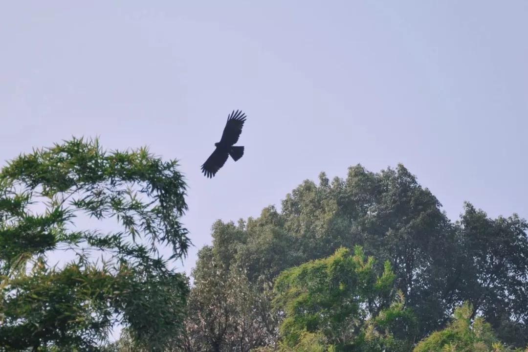 浪漫树屋、奇妙酒店、恒温水乐园...去江浙沪Top酒店跨个30℃的年