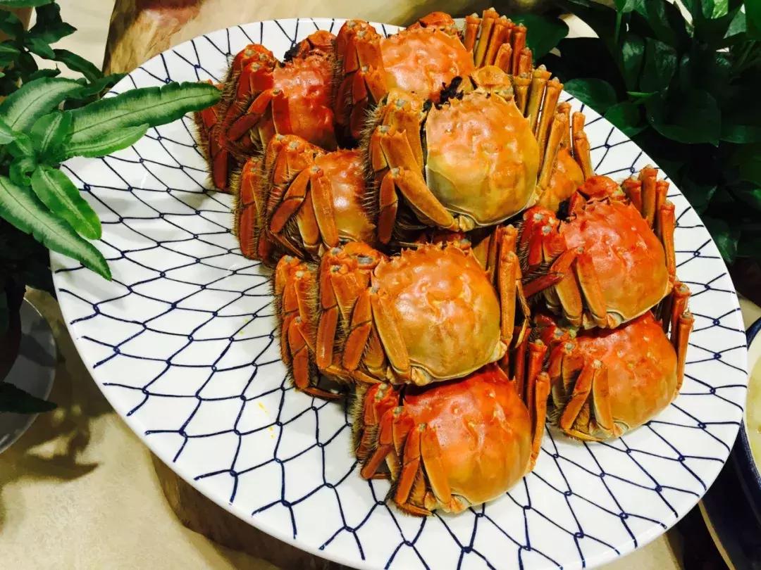 首批“常熟老字号”名单公布，本市十三家企业榜上有名！