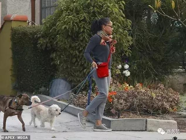 梅根王妃婴儿车,梅根为什么要付出代价