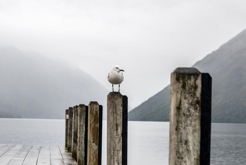 语文老师整理的超全成语分类汇总,语文成语分类整理