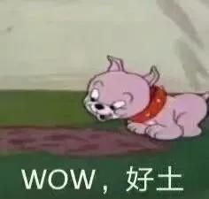 如何辨别代购店铺真假,怎么判断代购的lv邮差包真假