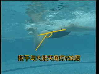 蛙泳的六大腿部错误纠正,儿童蛙泳腿部全套慢动作教学视频
