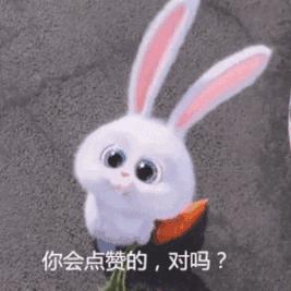 为什么狗狗中暑后叫不应了,为什么狗狗到夏天中暑就死