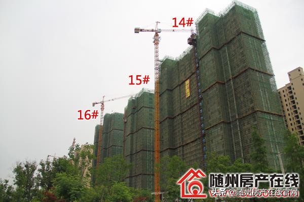 随州森源荣御中央185平米,荣御中央随州湖景房