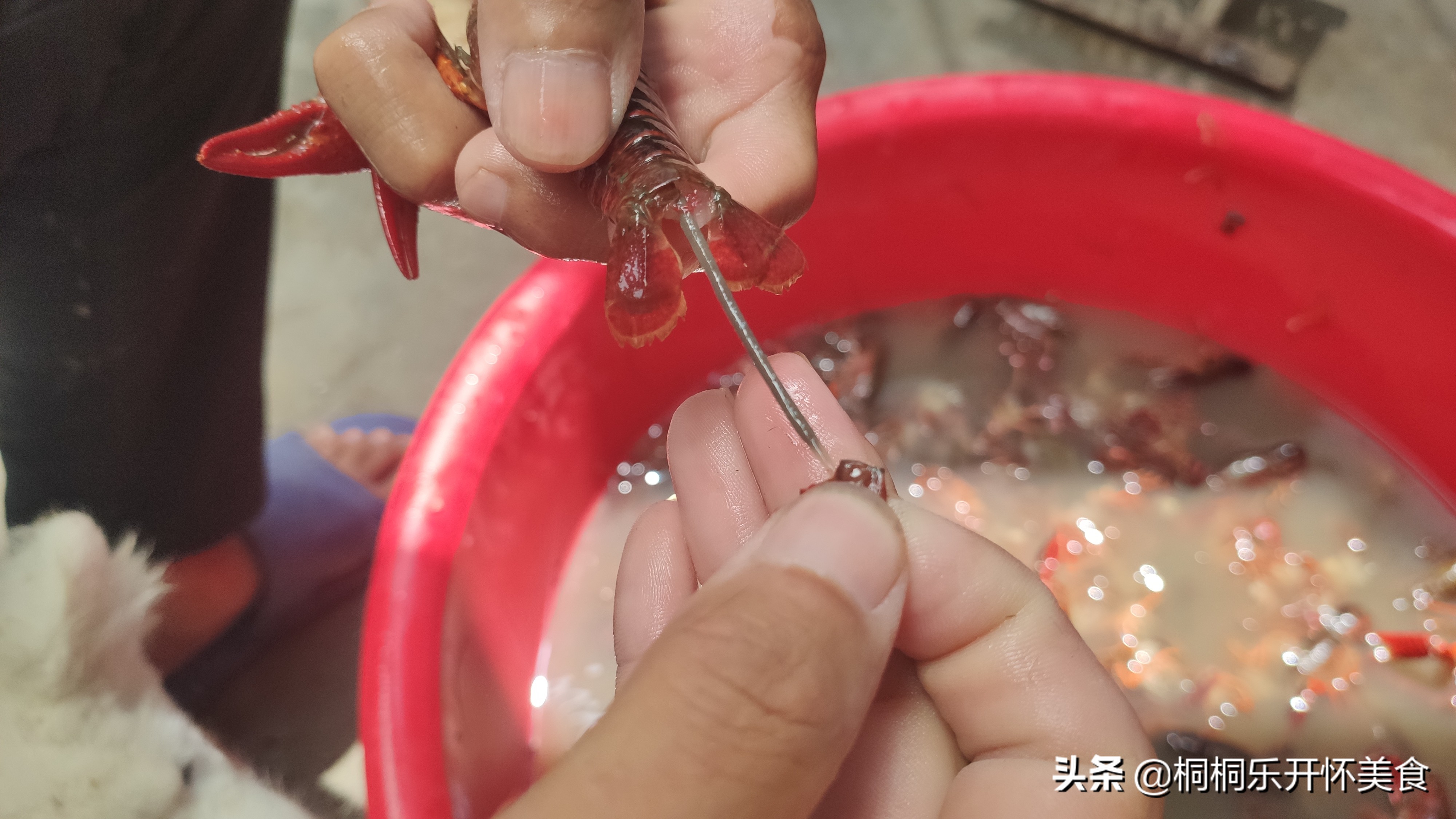 怎么样洗龙虾才洗得干净,怎样洗龙虾比较洗得干净