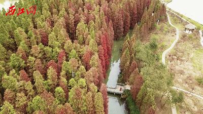 七星岩北门有什么景点,七星岩北门广场