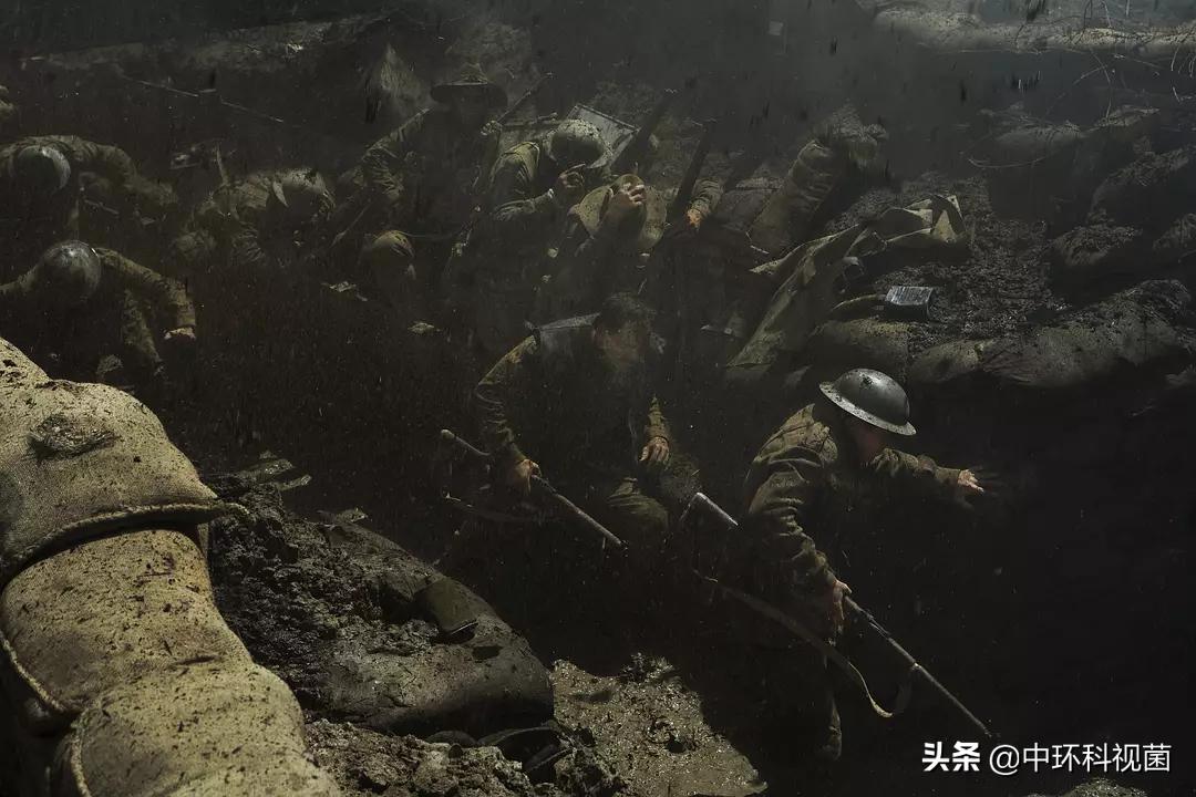 推荐10部残酷又惨烈的战斗电影,推荐几部战斗场面震撼的电影