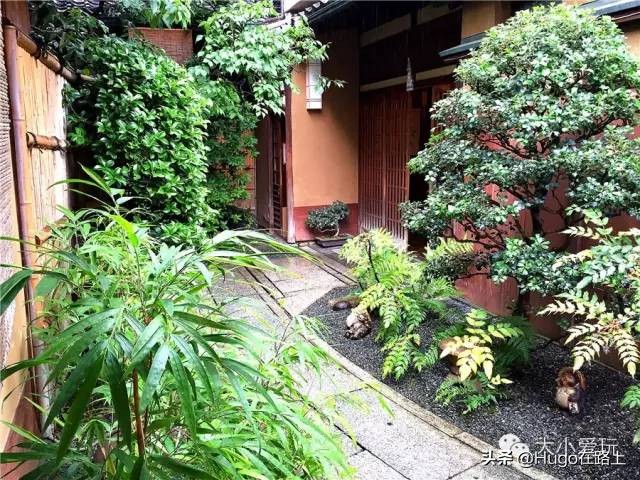 日本东京新宿亲子游自由行攻略,日本亲子游走关东还是关西