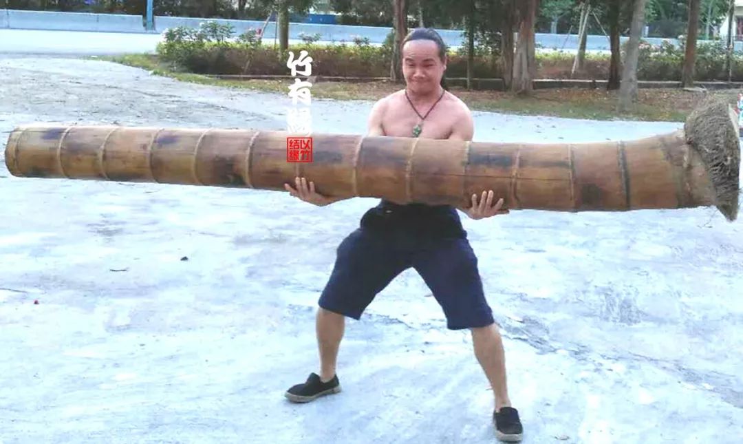 巨龙竹种多久成材,养龙竹风水