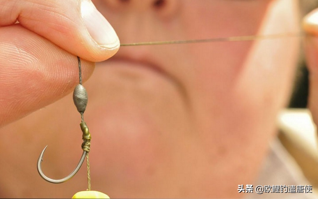 话说欧鲤钓组全集,欧鲤钓组可以钓哪些鱼