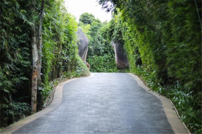 南京三天两晚闺蜜游攻略,闺蜜上海5天4晚自由行攻略