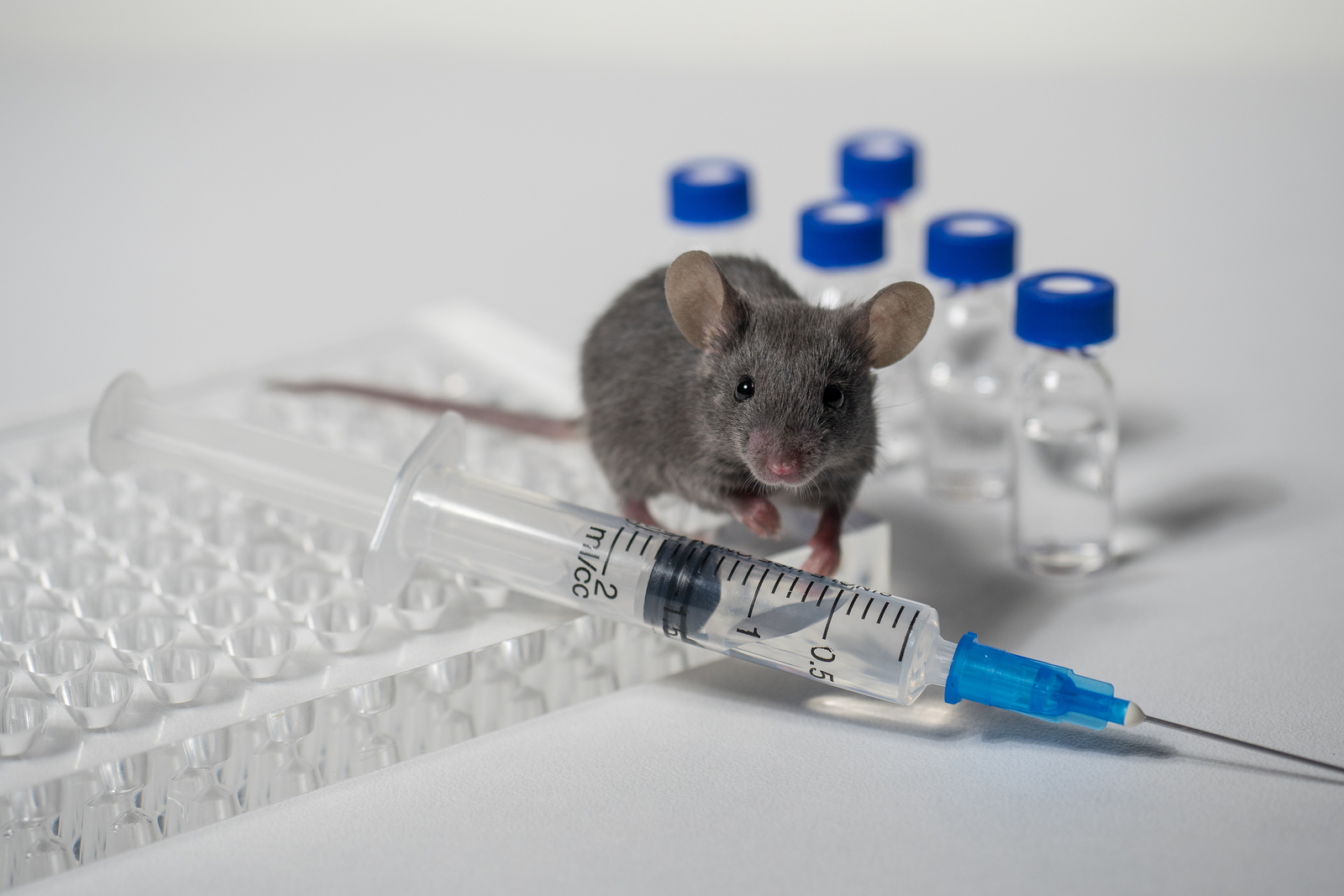 氯喹治疗冠状病毒,羟氯喹治疗新型冠状病毒