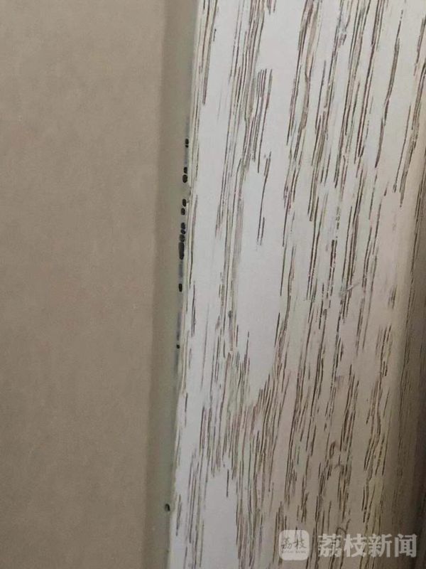 住小区楼层低有各种虫子,小区房子大面积出现虫子