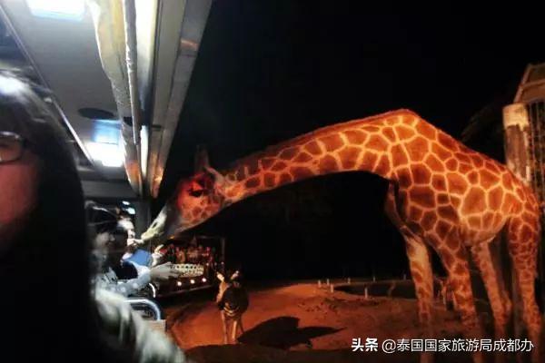 暑假去泰国旅游攻略,暑假去泰国玩好吗