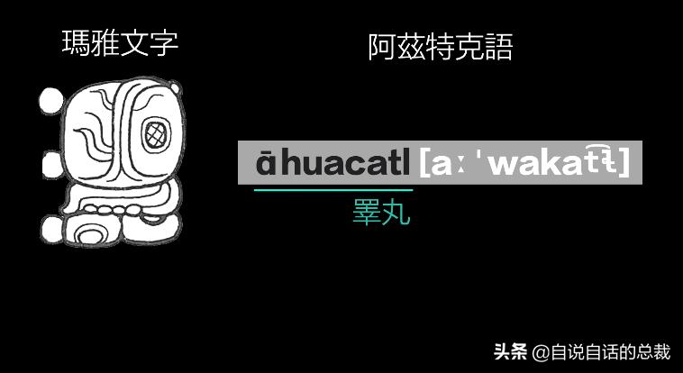 牛油果是坏了吗,牛油果几十年前
