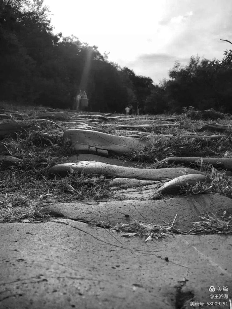 京西马致远故居在哪,马致远故居的诗句