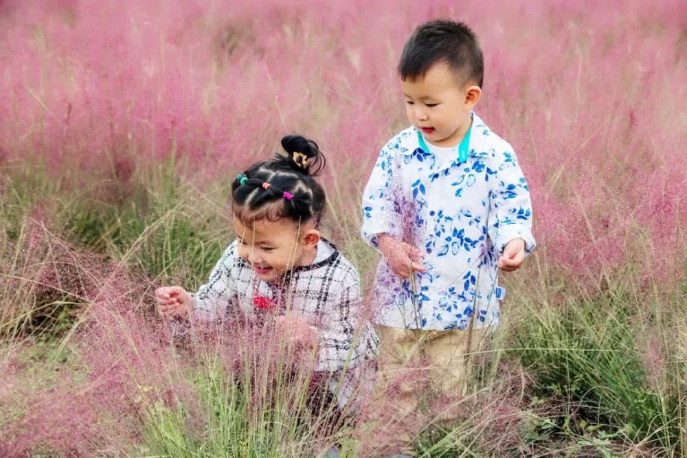 台儿庄祥和庄园自驾游攻略,台儿庄古城祥和庄园