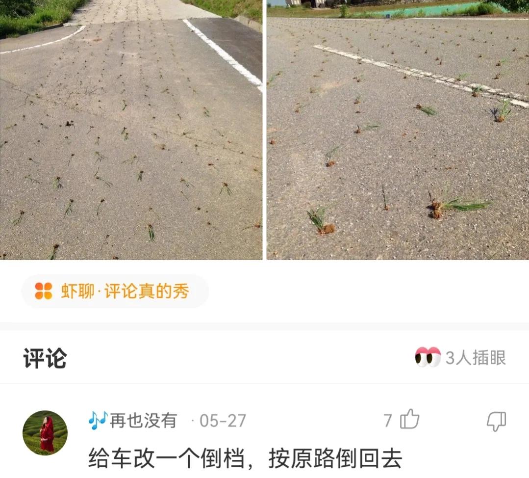 神回复,第一次跟人去打架,我该怎么做才显得自己不是新手?