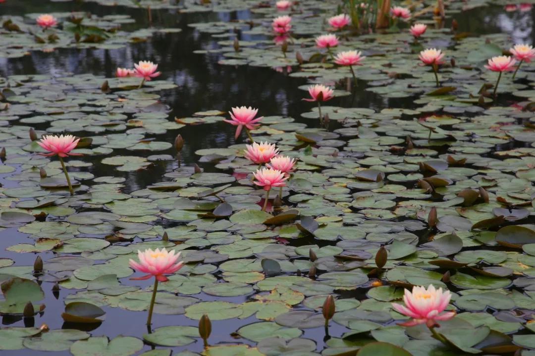 厦门什么地方吹海风吃着美食,厦门必吃海鲜吹海风