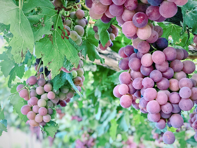 去一趟大西北的旅行,大西北旅行青藏高原