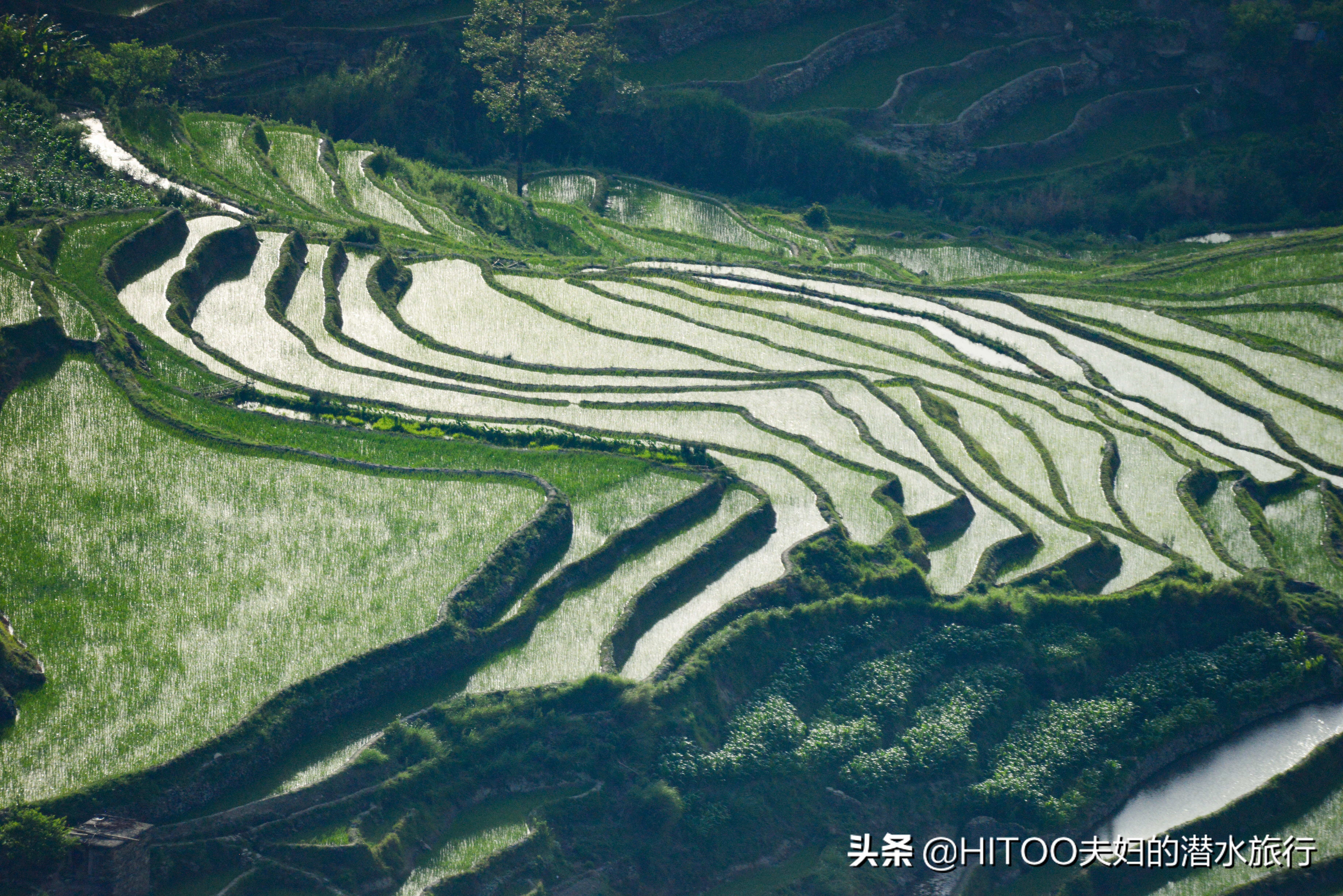 自驾元阳梯田旅游攻略时间,元阳梯田自驾游玩攻略路线