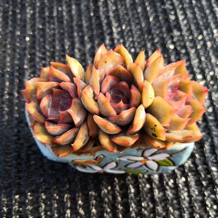 离家在外才发现最难忘的是故乡情,离家在外看见家乡的东西