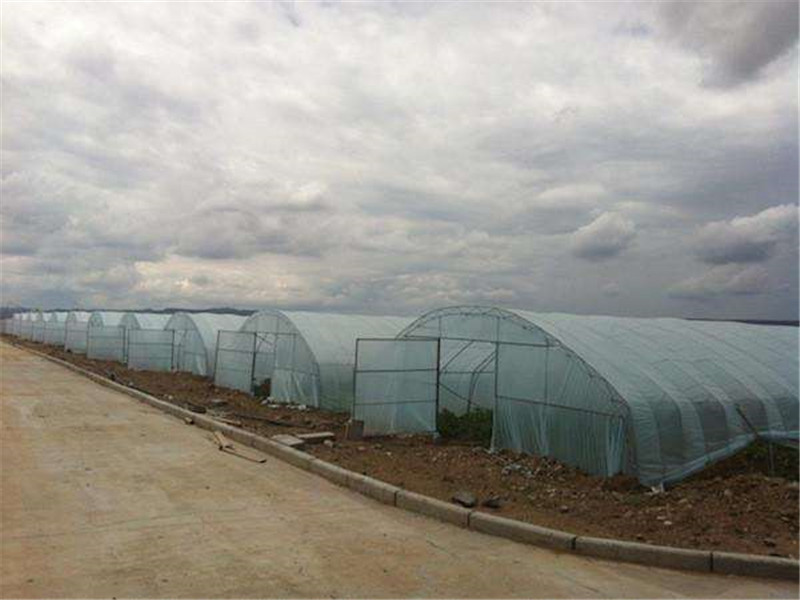 建造玻璃温室大棚多少钱,玻璃钢结构大棚造价
