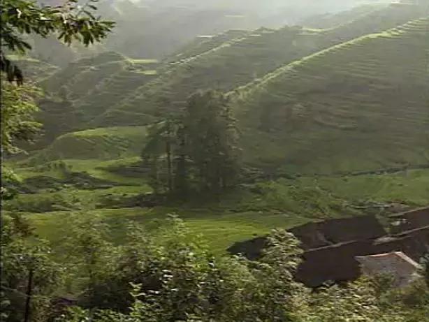 40年改革开放，广西发展有图有真相！