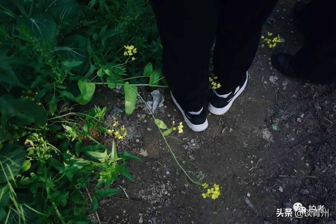 大衣哥朱之文买新车引围观,大衣哥朱之文被农民围观