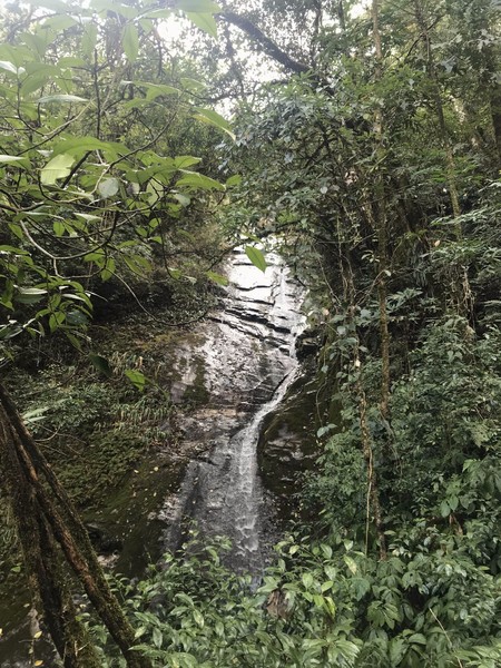 鑺掑競鍜岃吘鍐茬憺涓藉摢涓ソ,鑵惧啿鐟炰附鑺掑競瑗垮弻鐗堢撼