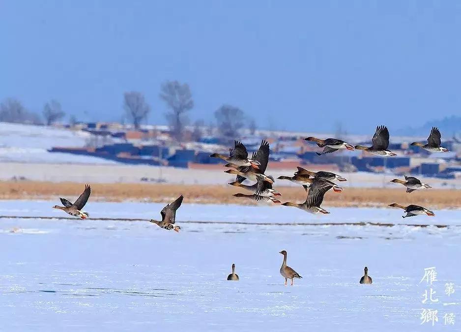 今日小寒养生篇,今日小寒保暖贴士
