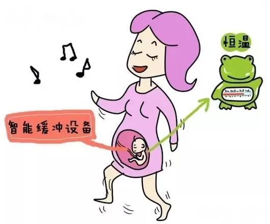 不显怀肚子小,不显怀但是肚子大