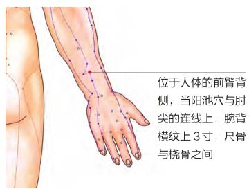 《网球肘》属于痹症的范畴，中医说3个穴位就可缓解！
