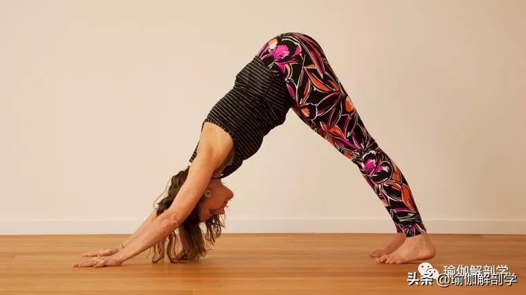 缓解久坐腰疼的瑜伽最佳动作,简单瑜伽助你赶走久坐腰酸背痛