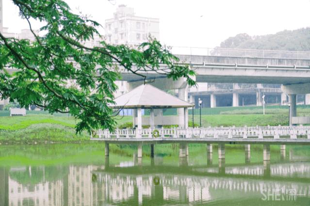 深圳八大绝美公园,山水公园深圳
