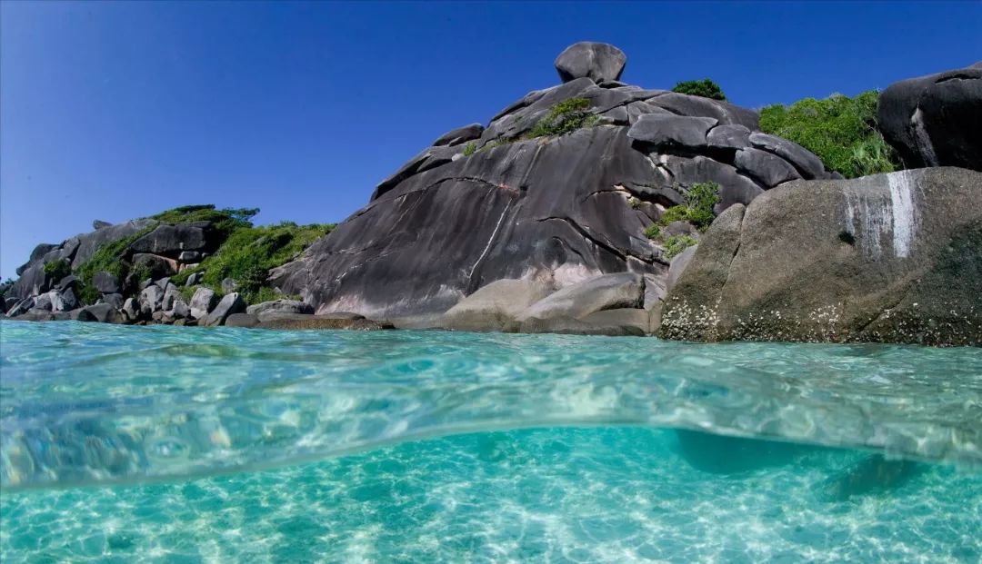 各大航空优惠活动,各大航空优惠2024