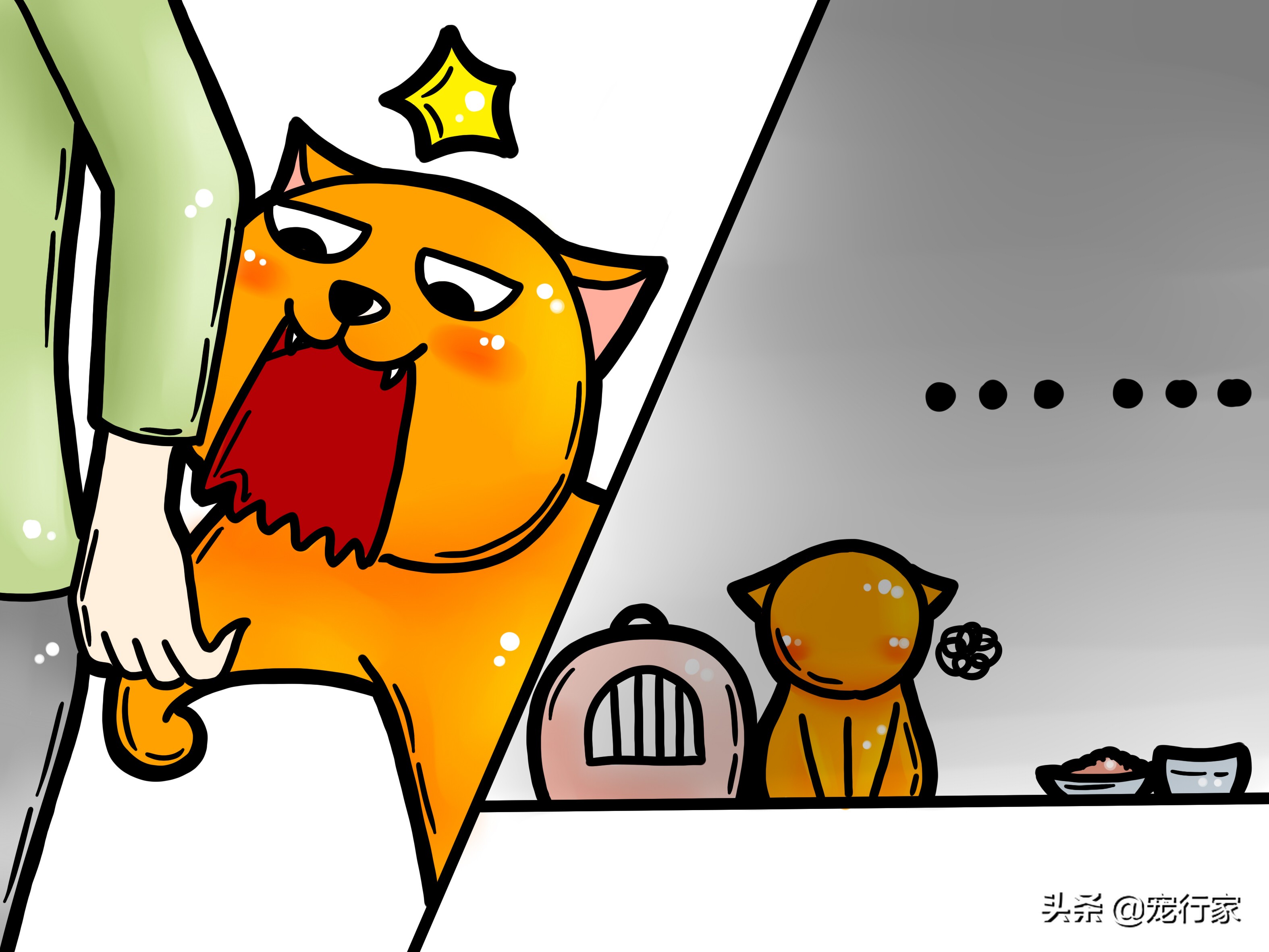 被猫咬伤发病几率高吗,猫被猫咬了是怎么回事