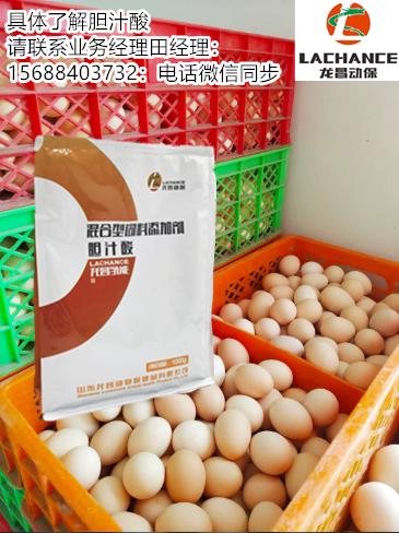 鸡蛋行情2020年6月1日鸡蛋价格,2020年鸡蛋价格走势图