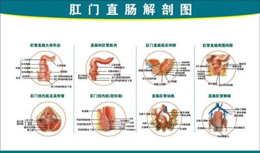 肛肠科：直肠前突是造成便秘的主要因素之一！