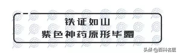 韩国妇科病的药哪个最好,韩国治妇科病的特效药