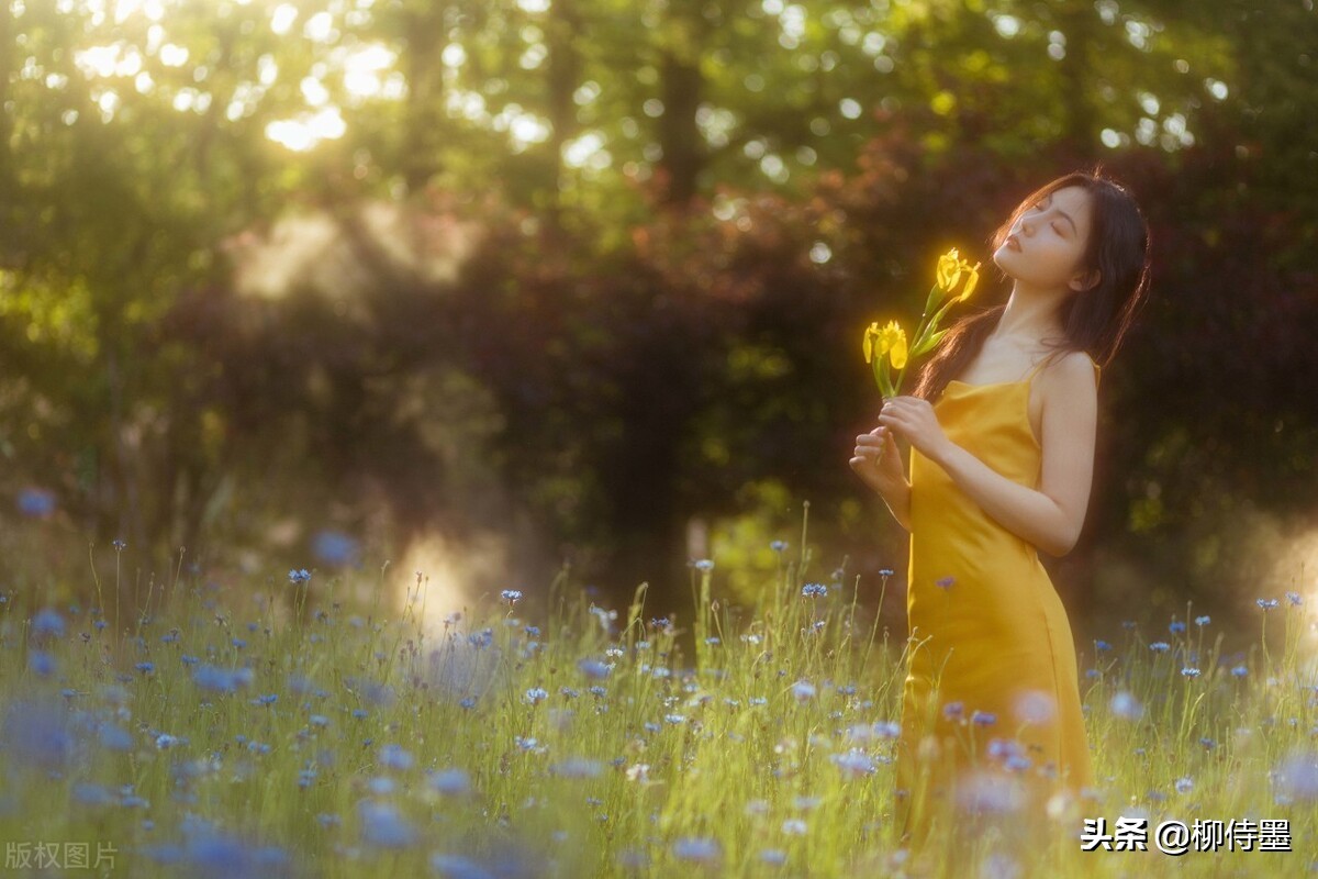 摄影技巧口诀大全图解,摄影外拍技巧与灯位