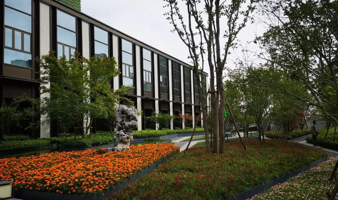 一个神奇的开发商,传说中的开发商