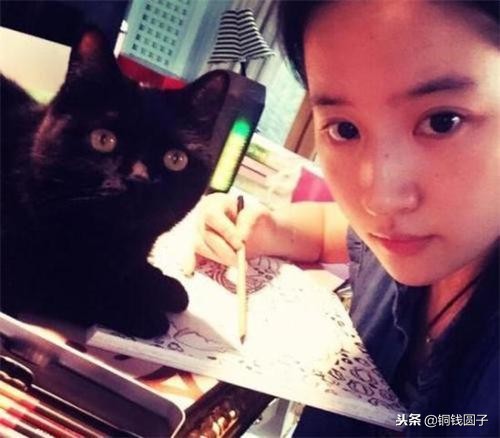 娱乐圈那些感人的事,明星与宠物的感人瞬间