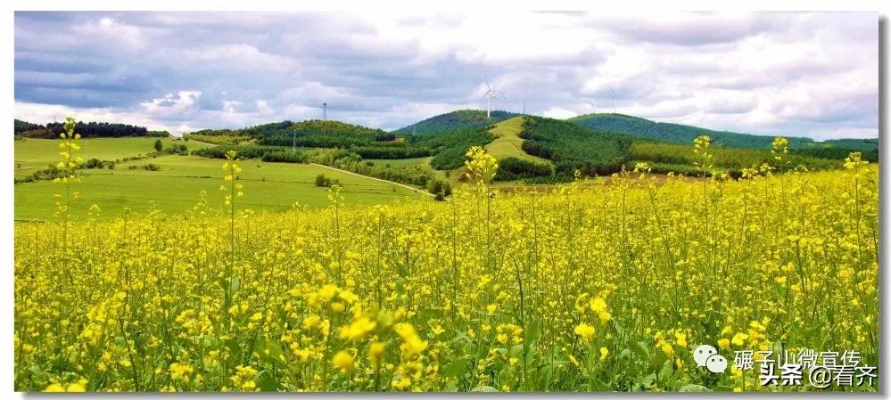 齐齐哈尔碾子山地锅炖,碾子山巧媳妇地锅炖