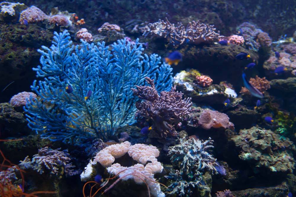 北京工体富国海底世界周一营业,北京工体富国海底世界旅馆